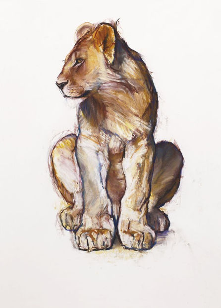 Focusing intensely on one species or ecosystem at a time, Adlington immerses himself in the animal’s world, drawing, observing and...