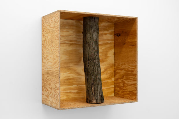 The exhibition centres on a series of sculptural works that reference the modular plywood and aluminium constructions of Donald Judd...