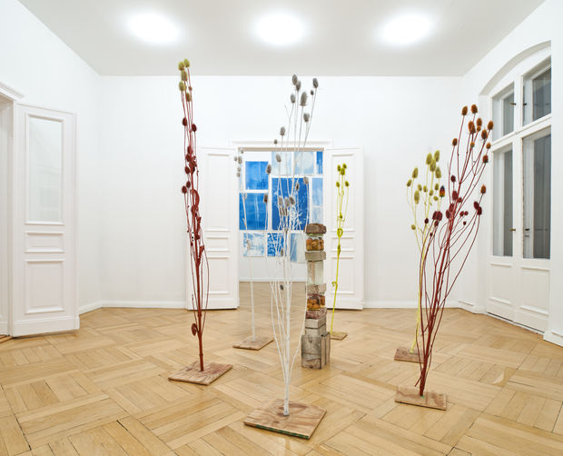 Silke Schatz views Manheim as an educational site on several levels &ndash; ecologically, socially and mentally. In her own words:...