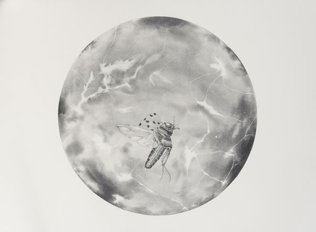 The exhibition is accompanied by an essay by Emilia Terracciano who writes, &ldquo;Water, Makanji reminds us, joins together histories, geographies,...