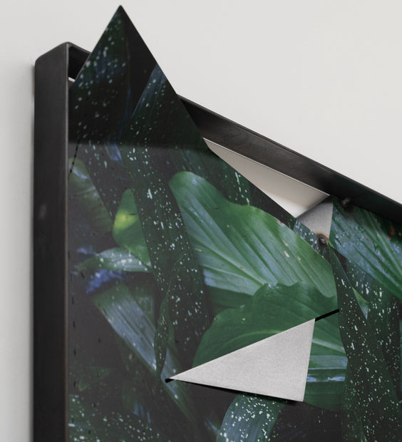 As a lover of the natural world, Letha Wilson (New York) brings together photography and sculpture through her innovative 'photo...