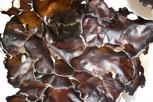 Hyperallergic, Hyperallergic Fall 2025 New York Art Guide