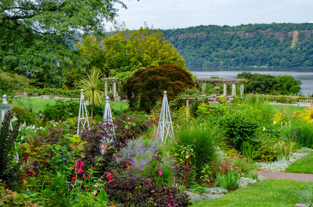 The New York Times, Free and Pay What You Wish in N.Y.C.: Museums, Movies and More