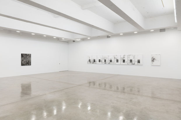 Artforum, Lisa Oppenheim at Tanya Bonakdar Gallery