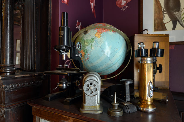 Art Basel Stories, How Mark Dion reframes our understanding of the natural world