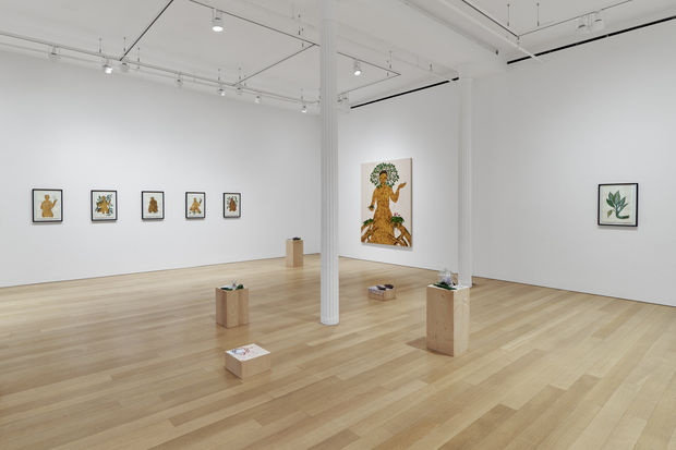 Observer, In New York, Rosana Paulino Celebrates Black Female Power in Science and Symbols