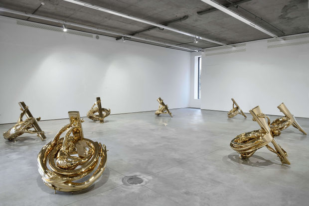 The impeccable work alongside the use of advanced industrial technologies in the making of objects made it possible to Delvoye...