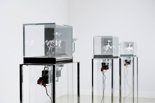 THE MACHINE ZONE, 2019 The Machine Zone (2019) is an installation featuring robotic birds performing repetitive actions governed by a...