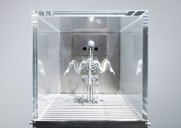 THE MACHINE ZONE, 2019 The Machine Zone (2019) is an installation featuring robotic birds performing repetitive actions governed by a...