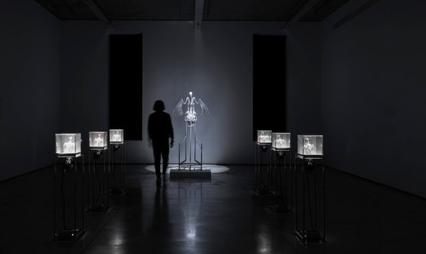 THE MACHINE ZONE, 2019 The Machine Zone (2019) is an installation featuring robotic birds performing repetitive actions governed by a...