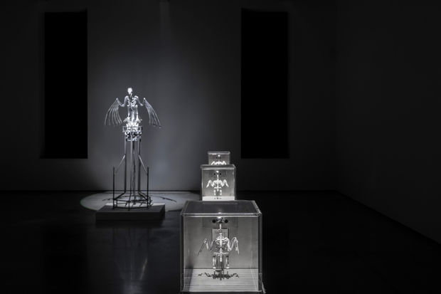 THE MACHINE ZONE, 2019 The Machine Zone (2019) is an installation featuring robotic birds performing repetitive actions governed by a...