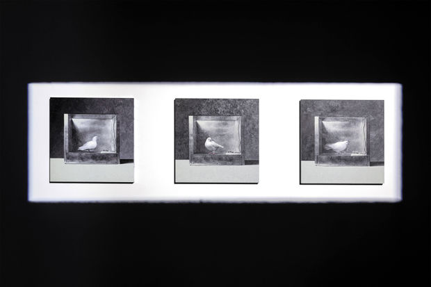 THE OPERANT CONDITIONING CHAMBER, 2022 This theme continues in the painting series The Operant Conditioning Chamber (2021) &mdash; realistic works...