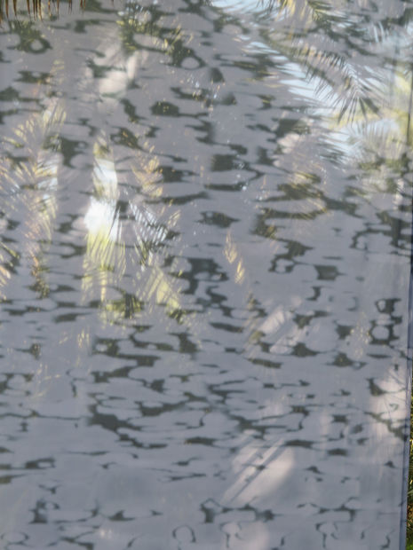 My focus will revolve around the tree roots. Palm roots are at the center of the date palm community structure....