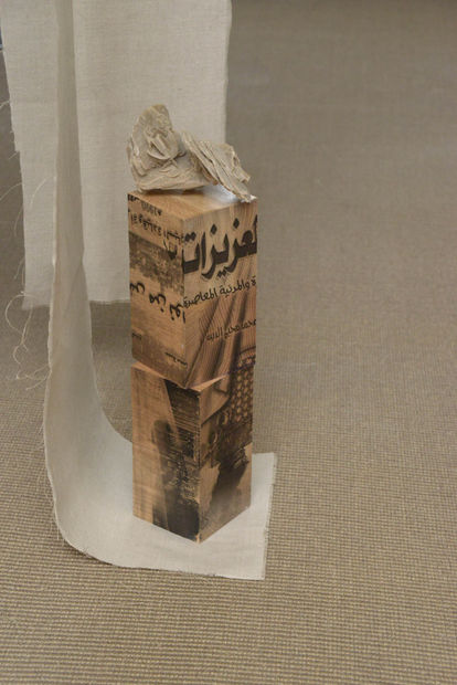 In this work I will attempt to construct what it means to be a woman in the imagined future. I...