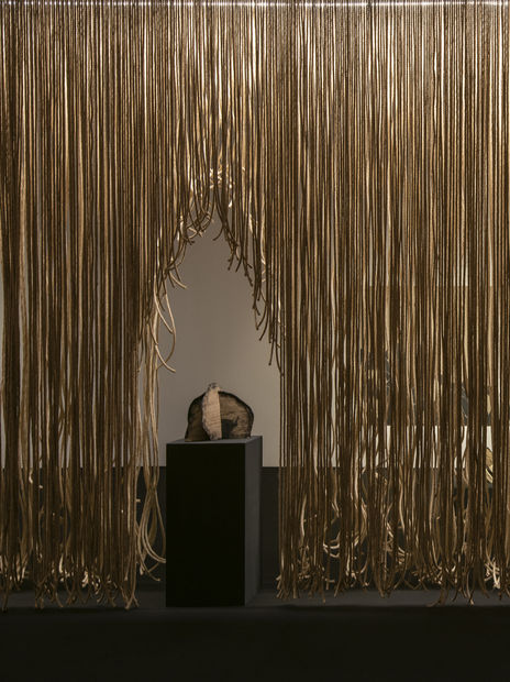 In the past few years, a new history has been unveiled to me. A history of humanity, a history of...