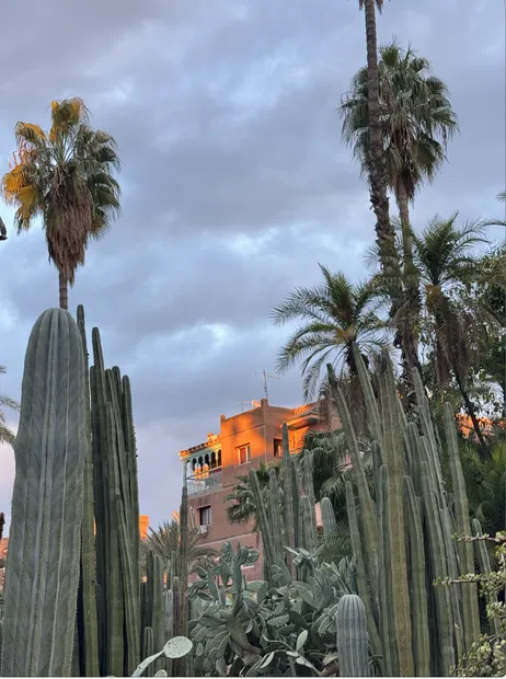 YSL Museum Marrakech: An Elegant Evening