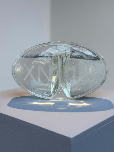 Affiliating medicine, normativity, and nature, Ordinary Madness presents a concentrated iconography. Chemical formulas such as endorphins, serotonin, ethanol, and other...