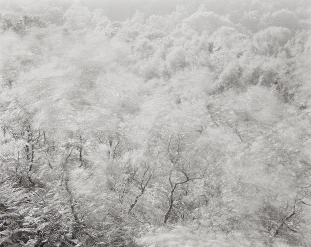 In 1980 I stopped working in the landscape and my still life work began. A year or so later the...