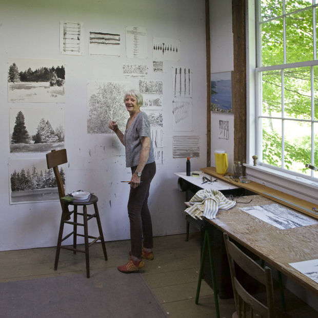 Emily (Scott) Brown was raised in Chester County, Pennsylvania. Brown’s unique approach to artmaking grew out of her training at...