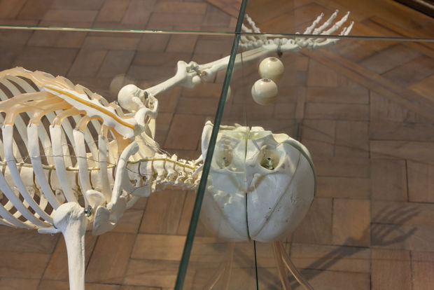 Exhilarating pairings of old and new media may come as a surprise to some visitors. Four recently restored, 15thcentury altar...