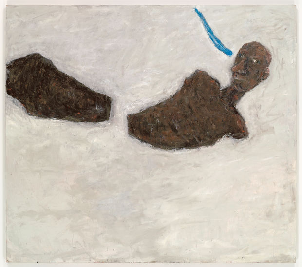 Towards the end of the 2000s, Rothenberg returned to using the human body as her primary subject. Juxtaposed against minimal...