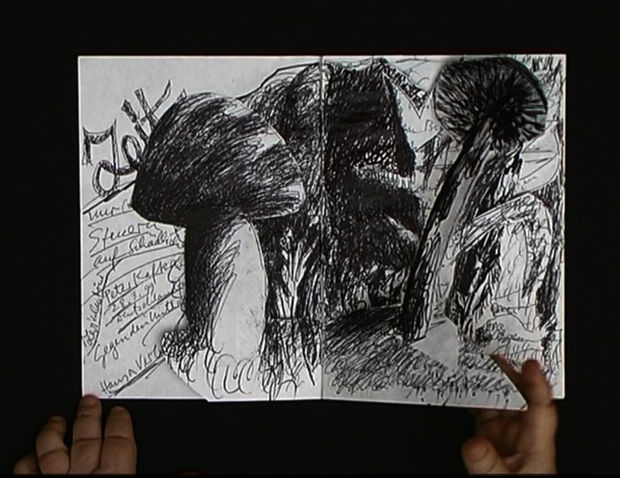 &Uuml;ber die Jahre entstanden zahlreiche K&uuml;nstlerinnenb&uuml;cher. Die mit arbeitsintensiven Zeichnungen versehenen B&uuml;cher, die oftmals mit der Schere akribisch seziert wurden...