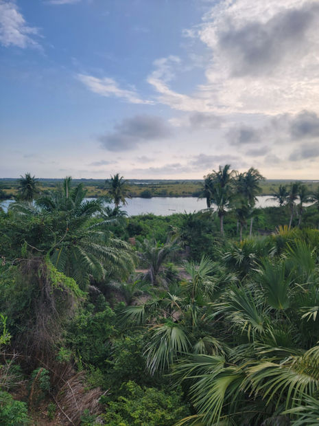 In counterpoint to the stools and the small tables, the mirrors designed by Estelle Yomeda lean toward rhizomatic profusion. Beaded...