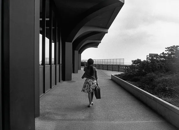 There is so Much to See, Contemporary Photography