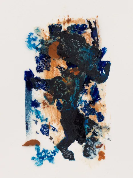 Amanda Williams is a visual artist who trained as an architect. Her practice blurs the distinction between art and architecture...