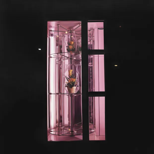 Tea Time (No Sugar), IPSO FACTO Studio, Madrid Spain.