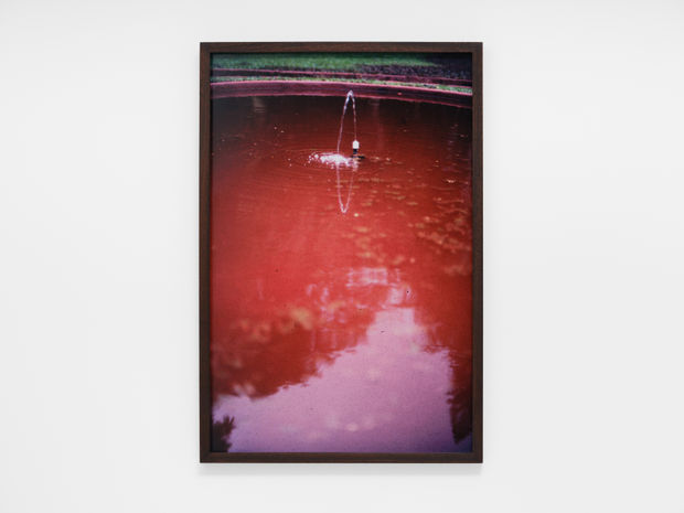 Van Scherpenberg's interventions are an extension of her painting practice. In 1968 she moved to live with her father in...