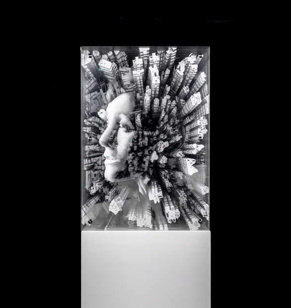 an ever-evolving vocabulary