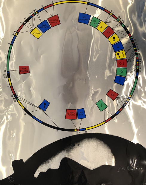 No DNA 1968 Screenprint on silver foil From the 'Software Chart Questionnaire' portfolio Signed on the sheet Numbered from the...