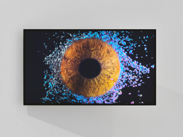 Unruly Iris of Dissent (U.I.D 2), 2023