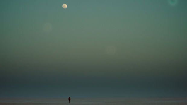 Running in parallel with our Gallery Summer Show Alliances, Frith Street Gallery is delighted to present an online programme of...