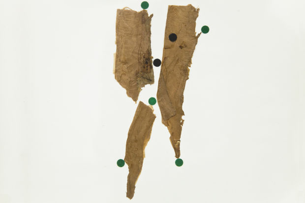 As cascas douradas que naturalmente se desprendem do tronco da árvore ‘sete-casacas’ são finas como um pergaminho e motivam composições...