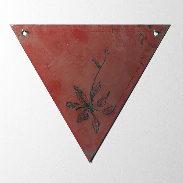 Semiology of the Underground, Drawing of an Arabidopsis thaliana on a minefield warning sign, 15.5 × 18 cm