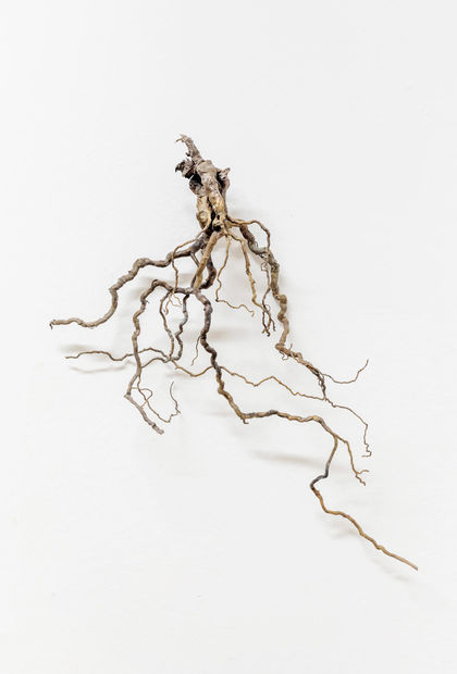 Widow's Boundaries, Bronze casts of Dittrichia viscosa, dimensions variable