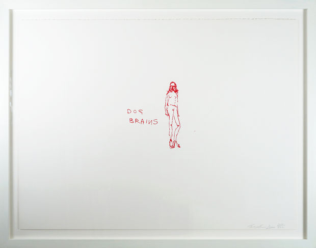 Hirst isn&rsquo;t the only YBA to feature in Hidden&rsquo;s collection. Tracey Emin's searingly honest and confessional practice across a variety...