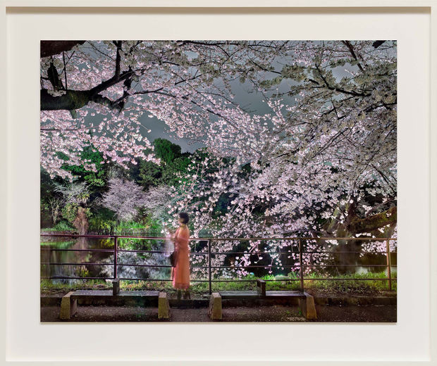 Matthew Pillsbury&rsquo;s 2023 Hanami photographs reinterpret the centuries-old tradition of cherry blossom viewing through his signature long-exposure technique, infusing the...