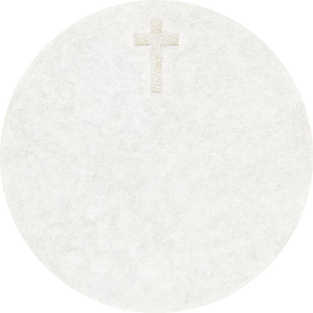 COLONIZATION Series (1991-1993)