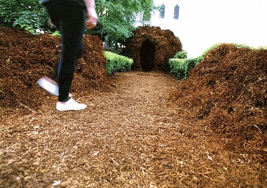 utopia/nest, Museum Casa das rosas - Sao Paulo, brazil, 1996