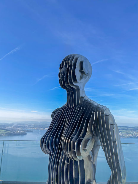 SENTINEL OF LIGHT, Stainless steel, 225 x 52 x 49 cm