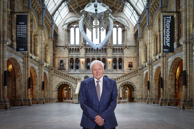 Jerwood Foundation made a grant of &pound;900,000 towards the restoration and modernisation of the Natural History Museum&rsquo;s magnificent Gallery 26...