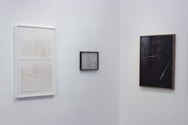 Linear Expansions, Work from scott b. davis, Fabiola Menchelli and Judith Stenneken