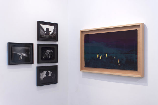 Oddities & Anomalies, Works by John Brinton Hogan & Giacomo Brunelli