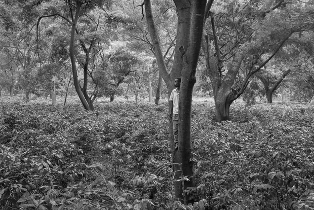 JAKOB DE BOER AND I HAVE NO IDEA WHERE WE MET. Most likely it was at an art fair during...