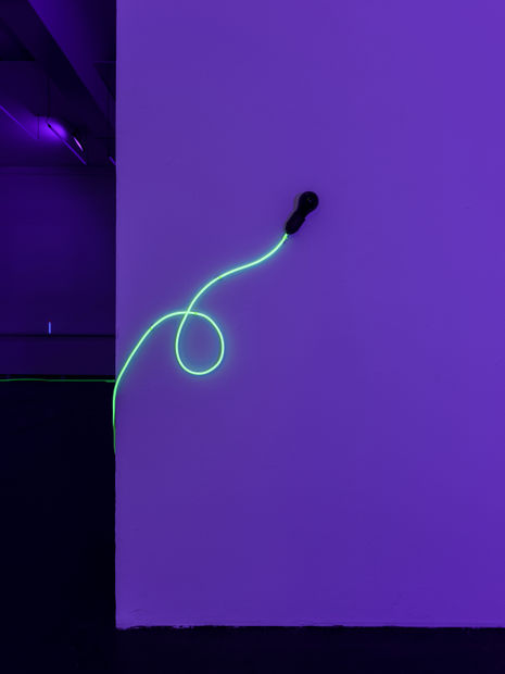Lichtverschmutzung (2021) ist eine Edition aus zwei Schwarzlichtglühbirnen und einem langen neonorangen oder -gelben Kabel, das als verbindendes Element eine...