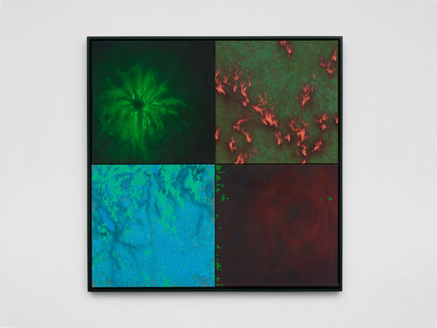 Die Gemälde Repository, scattering seeds, Repository, preserved remains, Repository, polarization und Repository, coordinates setzen sich jeweils aus vier Leinwänden zusammen,...