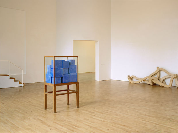 F&uuml;r Partenheimer offenbart Abstraktion die Bewegung des Denkens, die durch die gemachten Erfahrungen des K&uuml;nstlers angesto&szlig;en werden. Sie erm&ouml;glicht einen...